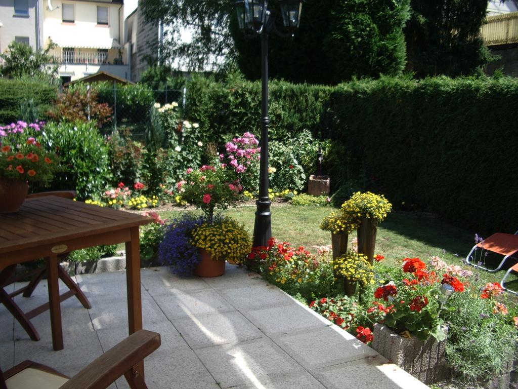 Gaestehaus Resi Hotel Zeltingen-Rachtig Bagian luar foto